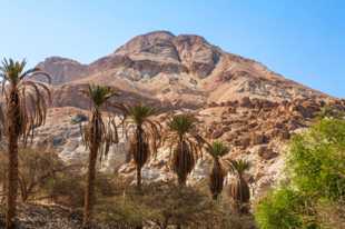 Crags of En Gedi-0450.jpg